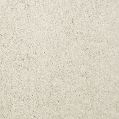 Shaw Floors Queen KNOCKOUT II 15′ Oyster Pearl 75101_Q0776