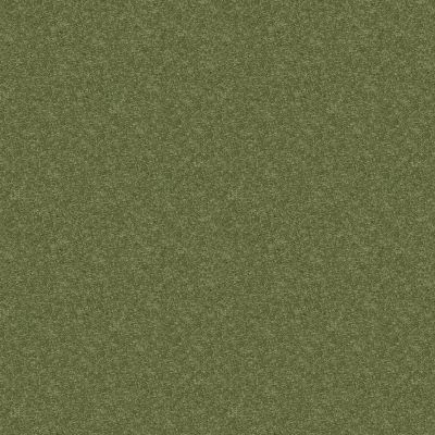 Shaw Floors Value Collections Dyersburg Classic 15′ Net Going Green 00330_E9193