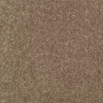 Shaw Floors Queen Knockout II 15′ Sequoia 75720_Q0776
