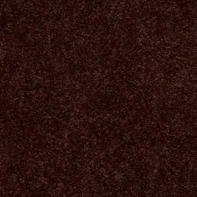 Shaw Floors Dyersburg Classic 15′ Coffee 55755_E0948