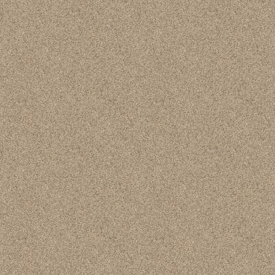 Shaw Floors Caress By Shaw Delicate Distinction Classic I Toasted Grain 0241B_BCC19