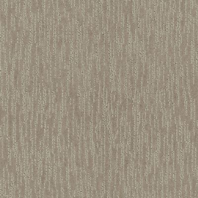 Shaw Floors Simply The Best Parallel Bronze 00761_E9413