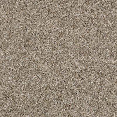 Shaw Floors Value Collections SHAKE IT UP TWEED NET Weathered 00101_E9858