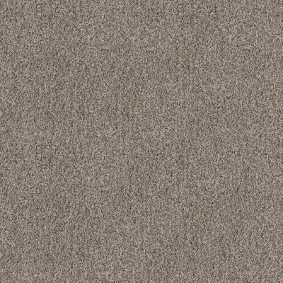Shaw Floors See Me Natural Taupe 00111_E9492