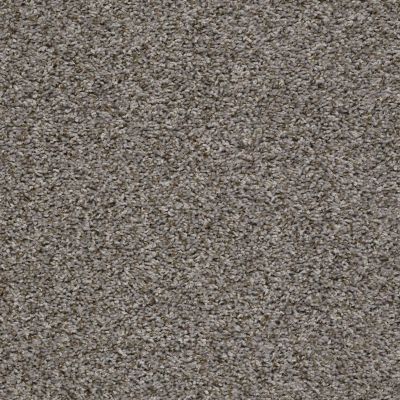 Shaw Floors Value Collections Break Away (t) Net Washed Suede 00511_5E283