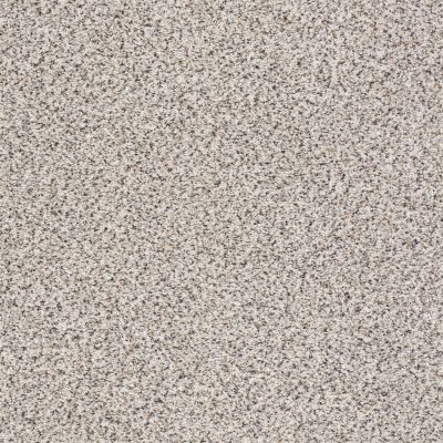 Shaw Floors Costco Wholesale Branded Program INSPIRED TEXTURE ACCENT Carrara 00180_1CW17