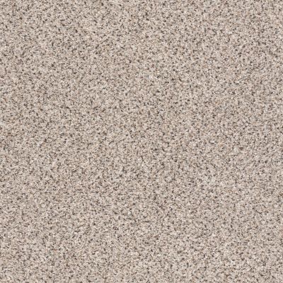 Shaw Floors Anso Colorwall Gold Texture Accents Sculptor 00181_EA759