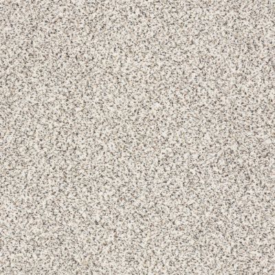 Shaw Floors Anso Colorwall Gold Texture Accents Artifact 00183_EA759