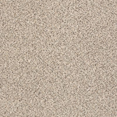 Shaw Floors Costco Wholesale Branded Program INSPIRED TEXTURE ACCENT Bistro 00184_1CW17
