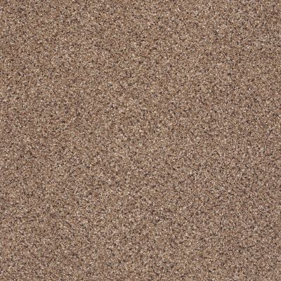 Shaw Floors Costco Wholesale Branded Program INSPIRED TEXTURE ACCENT Pegasus 00780_1CW17