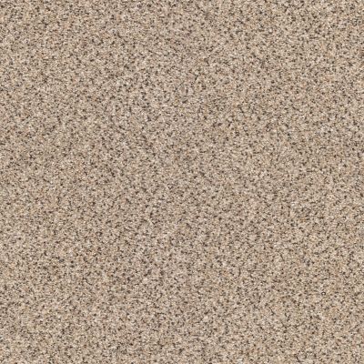 Shaw Floors Anso Colorwall Platinum Texture Accents Midtown 00182_EA760