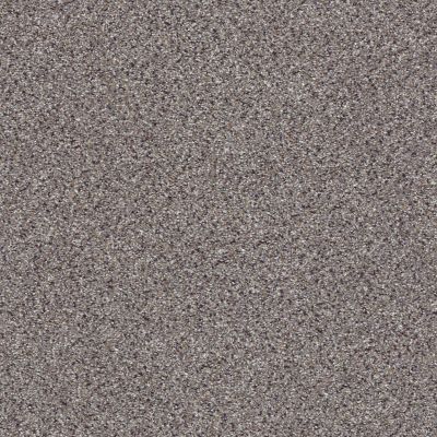 Shaw Floors Anso Colorwall PLATINUM TEXTURE ACCENTS Graphite 00581_EA760