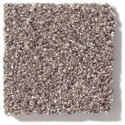 Shaw Floors Anso Colorwall PLATINUM TEXTURE ACCENTS Granite 00781_EA760