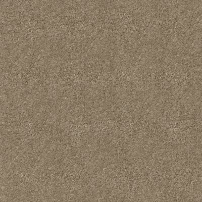 Shaw Floors Value Collections SHAKE IT UP SOLID NET Breeze 00111_E9857