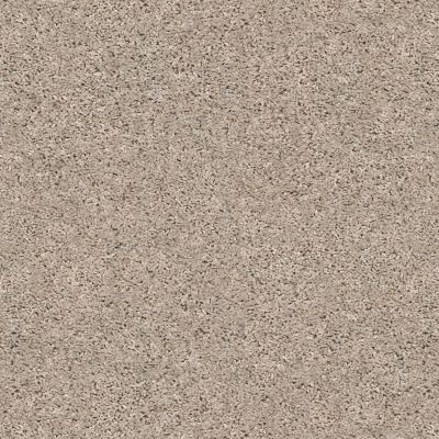 Shaw Floors Value Collections Shake It Up Solid Net Beech 00112_E9857