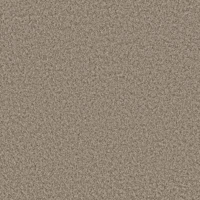 Shaw Floors Value Collections SHAKE IT UP SOLID NET Forever Pewter 00710_E9857