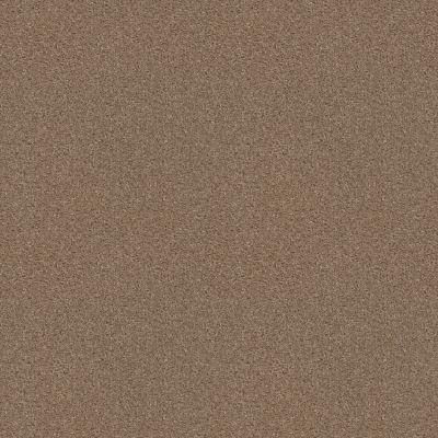 Shaw Floors Multifamily Eclipse Plus Commanding Solid Cappuccino 00741_PS807