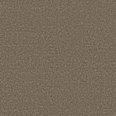 Shaw Floors Value Collections Shake It Up Tonal Net Roasted Coffee 00721_E9859