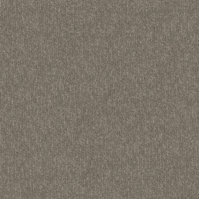 Shaw Floors Pet Perfect Plus Outside The Lines Flax 00502_E9645