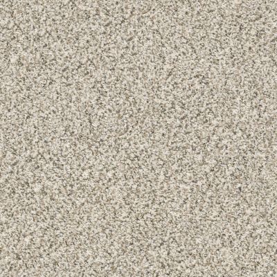 Shaw Floors Carpetland Value GEARED UP I Goose Feather 00101_7B7Q4
