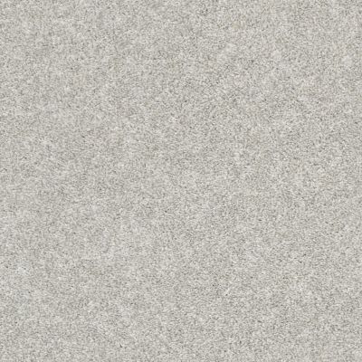 Shaw Floors Value Collections Frappe I Dove 00500_E9912