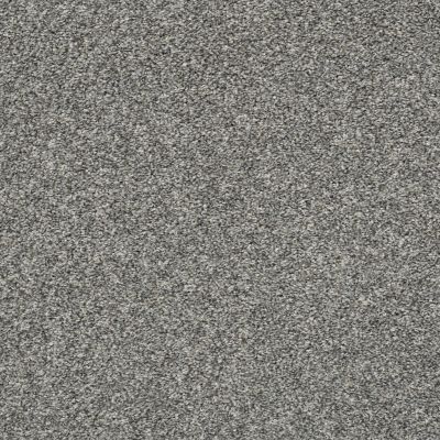Shaw Floors Value Collections Frappe I Sparrow 00504_E9912
