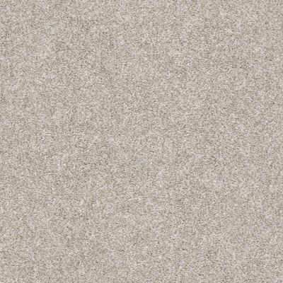 Shaw Floors Value Collections Frappe II Oatmeal 00100_E9913