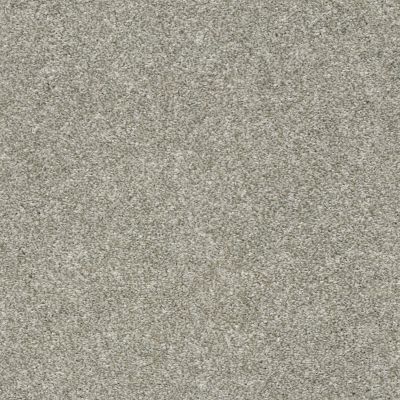 Shaw Floors Value Collections Frappe II London Fog 00501_E9913