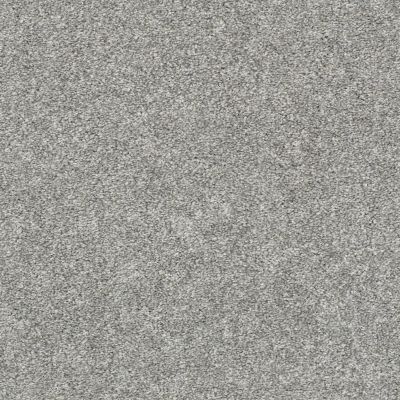 Shaw Floors Value Collections Frappe II Stone Path 00503_E9913