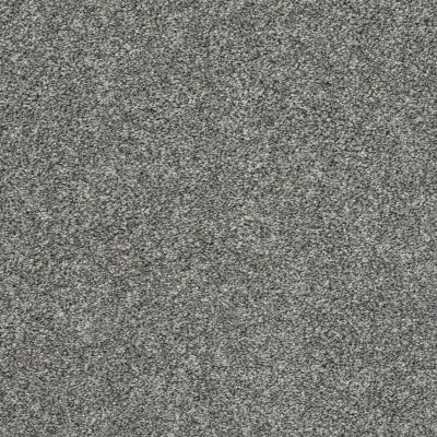 Shaw Floors Value Collections Frappe II Sparrow 00504_E9913