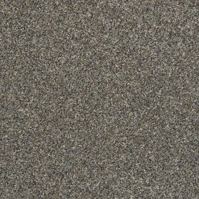 Shaw Floors Carpetland Value ENVELOPED I Granite Dust 00511_7B7Q2
