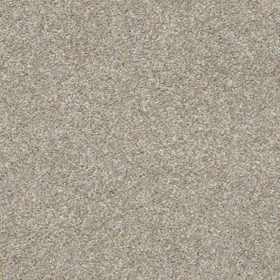 Shaw Floors Value Collections Frappe II Misty Harbor 00510_E9913