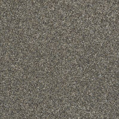 Shaw Floors Simply The Best ALL OVER IT II Granite Dust 00511_E9871