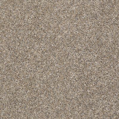 Shaw Floors Value Collections Frappe II Weathered 00710_E9913