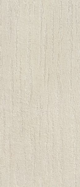 Shaw Floors Simply The Best All The Way Net Stucco 00101_E9892