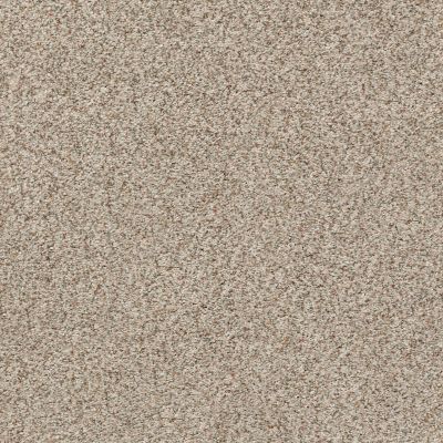 Shaw Floors Eco Choice SIMPLE COMFORTS ACCENT I Backstage Pass (A) 198A_7B5S7