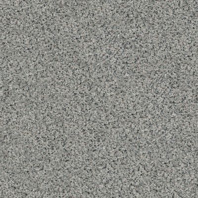 Shaw Floors Costco Wholesale Branded Program GRAND HIGHLIGHTS Driftwood(A) 2560A_1CW24