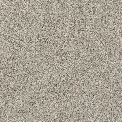Shaw Floors Eco Choice SIMPLE COMFORTS ACCENT II Backstage Pass (A) 198A_7B5S8