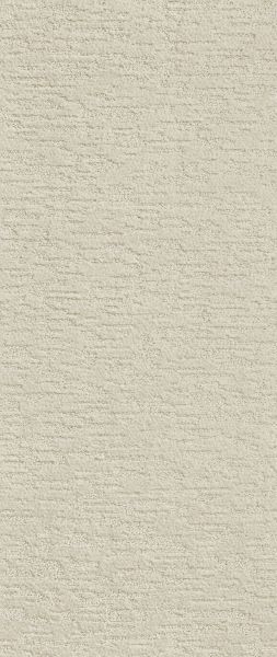 Shaw Floors Simply The Best All In One Stucco 00101_E9873