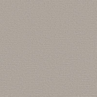 Shaw Floors Value Collections Dunkin’ Classic Taupe 00105_E9911