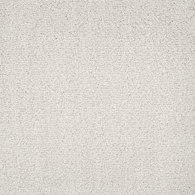 Shaw Floors Caress By Shaw Ombre Whisper Calm 00101_CCS79