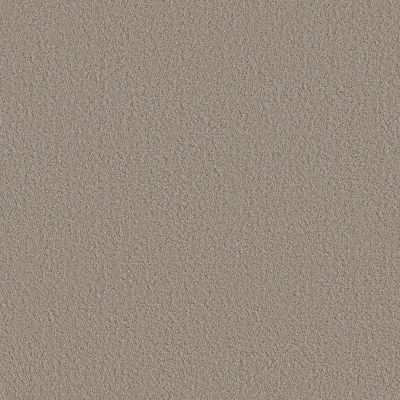 Shaw Floors Foundations Aerial View Artisan Taupe 00700_5E041