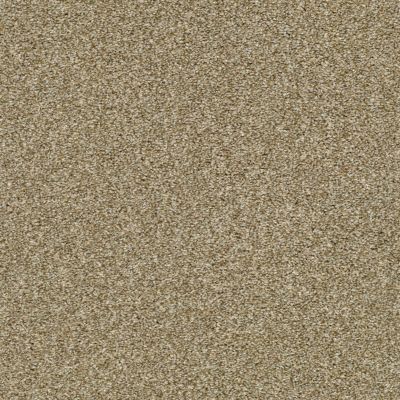Shaw Floors Carpetland Value EASY BREEZY TONAL Dried Clay 00137_7B7R1