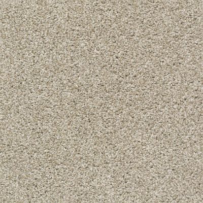 Shaw Builder Flooring Property Solutions Specified CLARITY Stucco 00122_PZ039