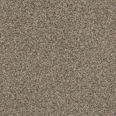 Shaw Floors Poised Chic Taupe 00714_5E042