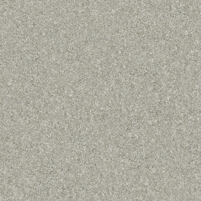 Shaw Floors Nfa Finders Keepers Soft Fleece 0120T_NA471