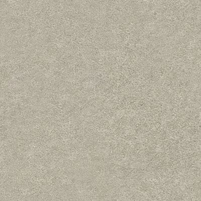 Shaw Floors Nfa Finders Keepers Desert Light 0121T_NA471