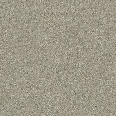 Shaw Floors Nfa Finders Keepers Winter Dunes 0123T_NA471