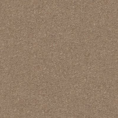 Shaw Floors Simply The Best ATTAINABLE Cork 701S_E9965