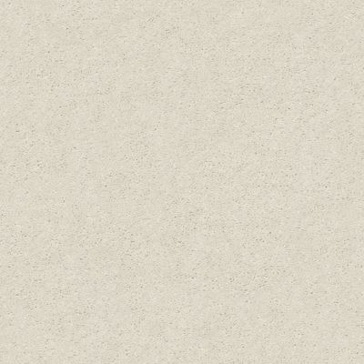 Shaw Floors Simply The Best Attainable Blizzard 100S_E9965